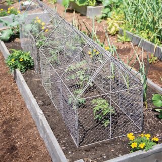 Chicken Wire Crop Coop Thumbnail